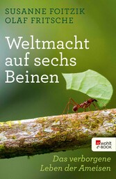 Weltmacht auf sechs Beinen