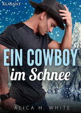 Ein Cowboy im Schnee. Liebesroman