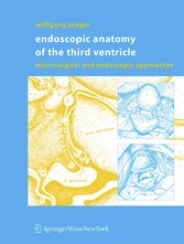 Endoscopic Anatomy of the Third Ventricle