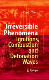 Irreversible Phenomena