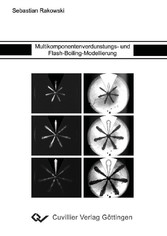 Multikomponentenverdunstungs- und Flash-Boiling-Modellierung