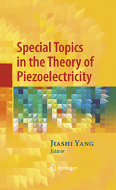 Special Topics in the Theory of Piezoelectricity