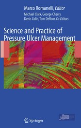 Science and Practice of Pressure Ulcer Management