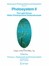 Photosystem II