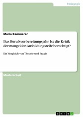 Das Berufsvorbereitungsjahr. Ist die Kritik der mangelden Ausbildungsreife berechtigt?