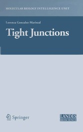 Tight Junctions