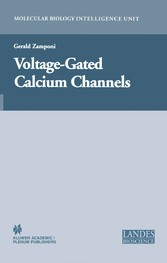 Voltage-Gated Calcium Channels