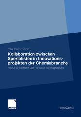 Kollaboration zwischen Spezialisten in Innovationsprojekten der Chemiebranche