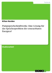 Pumpspeicherkraftwerke. Eine Lösung für das Speicherproblem der erneuerbaren Energien?