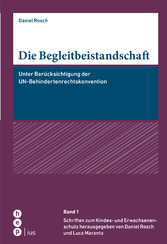 Die Begleitbeistandschaft