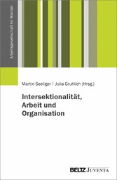 Intersektionalität, Arbeit und Organisation