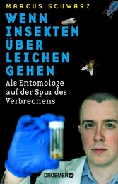 Wenn Insekten über Leichen gehen