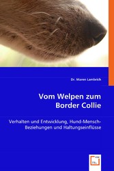 Vom Welpen zum Border Collie