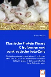 Klassische Protein Kinase C Isoformen und pankreatische beta-Zelle