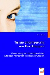 Tissue Engineerung von Herzklappen