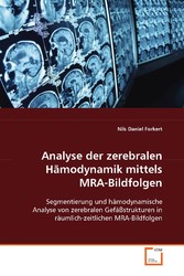 Analyse der zerebralen Hämodynamik mittels MRA-Bildfolgen