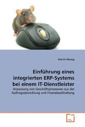 Einführung eines integrierten ERP-Systems bei einem IT-Dienstleister