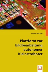 Plattform zur Bildbearbeitung autonomer Kleinstroboter