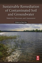 Sustainable Remediation of Contaminated Soil and Groundwater