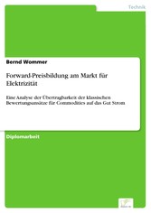 Forward-Preisbildung am Markt für Elektrizität