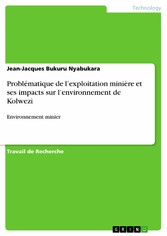 Problématique de l'exploitation minière et ses impacts sur l'environnement de Kolwezi