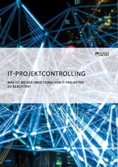 IT-Projektcontrolling. Was ist bei der Umsetzung von IT-Projekten zu beachten?