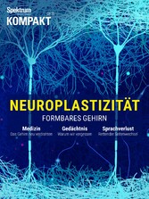 Spektrum Kompakt - Neuroplastizität