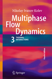 Multiphase Flow Dynamics 3