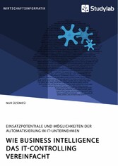 Wie Business Intelligence das IT-Controlling vereinfacht. Einsatzpotentiale und Möglichkeiten der Automatisierung in IT-Unternehmen