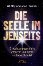 DIE SEELE IM JENSEITS. Erleuchtung geschieht, wenn von uns nichts als Liebe übrig ist