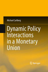 Dynamic Policy Interactions in a Monetary Union