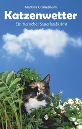 Katzenwetter