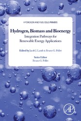 Hydrogen, Biomass and Bioenergy