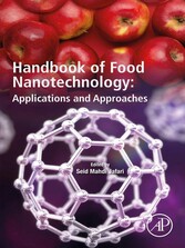 Handbook of Food Nanotechnology