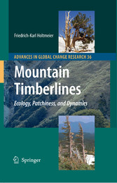 Mountain Timberlines