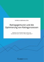 Ratingagenturen und die Optimierung von Ratingprozessen. Welchen Herausforderungen sehen sich Standard & Poor's und Co. derzeit gegenüber?