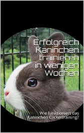 Erfolgreich Kaninchen trainieren in wenigen Wochen