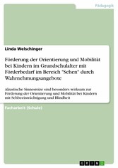 Förderung der Orientierung und Mobilität bei Kindern im Grundschulalter mit Förderbedarf im Bereich 'Sehen' durch Wahrnehmungsangebote