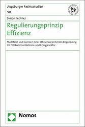 Regulierungsprinzip Effizienz