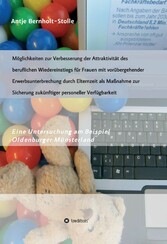 Möglichkeiten zur Verbesserung der Attraktivität des beruflichen Wiedereinstiegs für Frauen mit vorübergehender Erwerbsunterbrechung durch Elternzeit als Maßnahme zur Sicherung zukünftiger personeller Verfügbarkeit