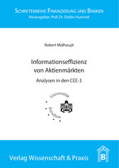 Einflussfaktoren der Informationseffizienz von Aktienmärkten.