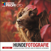 Hundefotografie