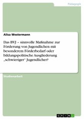 Das BVJ - sinnvolle Maßnahme zur Förderung von Jugendlichen mit besonderem Förderbedarf oder bildungspolitische Ausgliederung 'schwieriger' Jugendlicher?