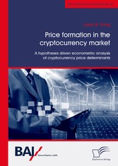 Price formation in the cryptocurrency market. A hypotheses driven econometric analysis of cryptocurrency price determinants