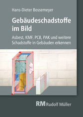 Gebäudeschadstoffe im Bild - E-Book (PDF)