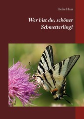 Wer bist du, schöner Schmetterling?