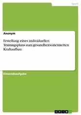 Erstellung eines individuellen Trainingsplans zum gesundheitsorientierten Kraftaufbau