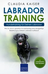 Labrador Training - Hundetraining für Deinen Labrador