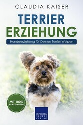 Terrier Erziehung