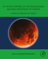 YY1 in the Control of the Pathogenesis and Drug Resistance of Cancer